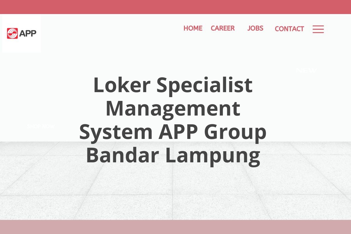 Loker Specialist Management System APP Group Bandar Lampung